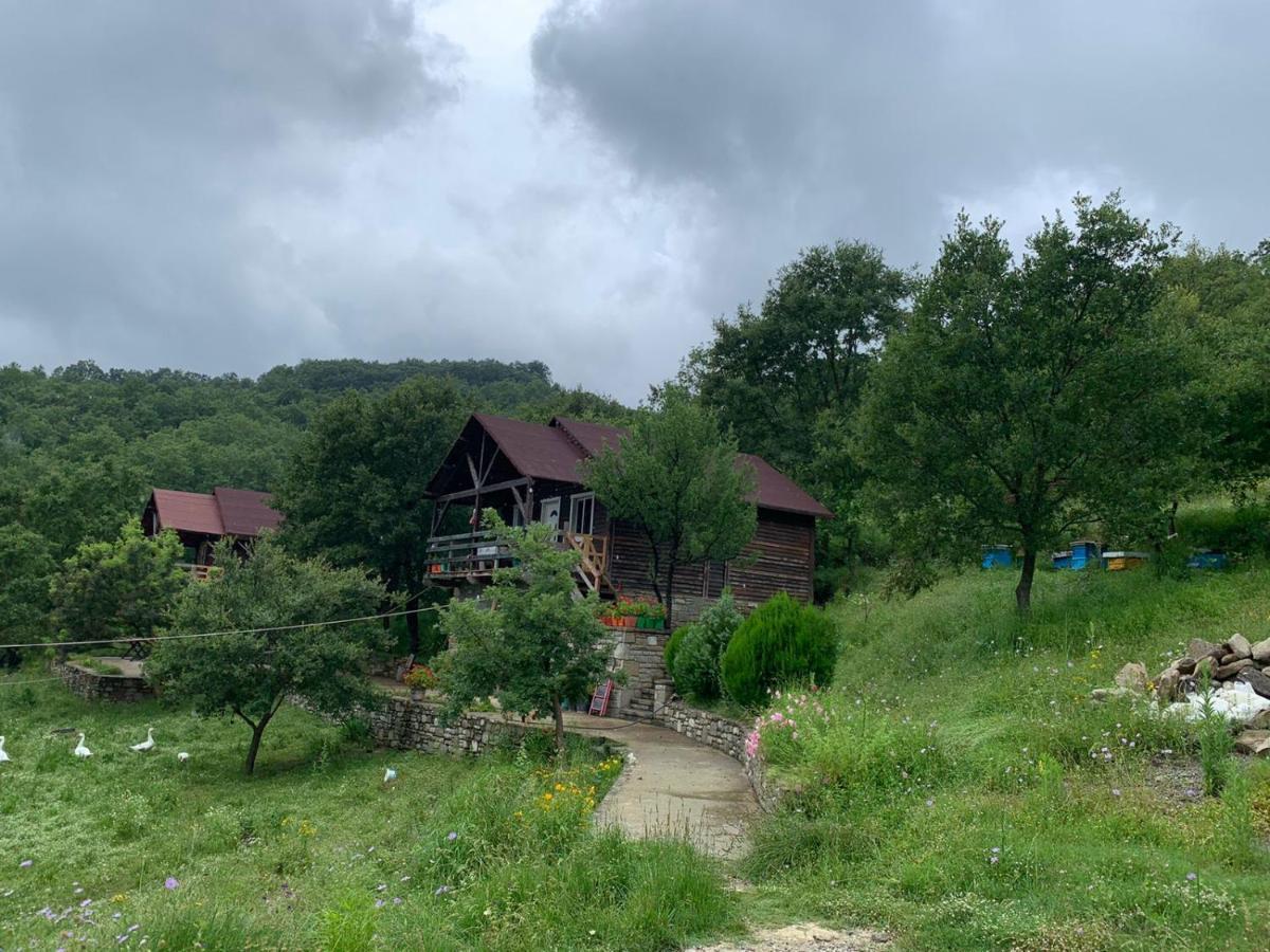 Villa Origjina Farm à Përmet Extérieur photo